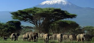 Amboseli National Park